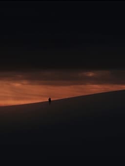 Dove gli Alberi non Parlano