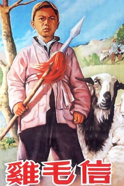 The Letter with Feathers