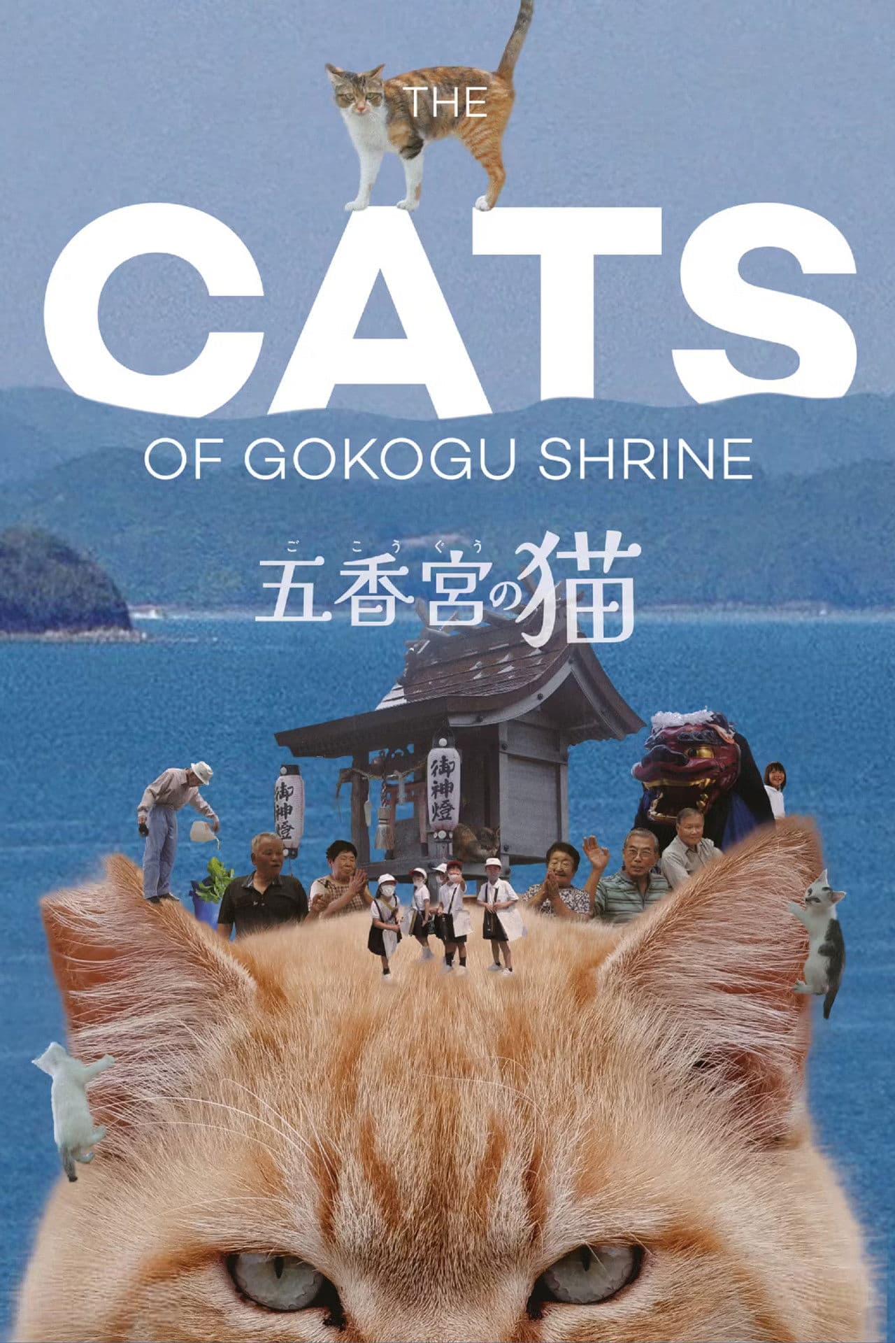 The Cats of Gokogu Shrine