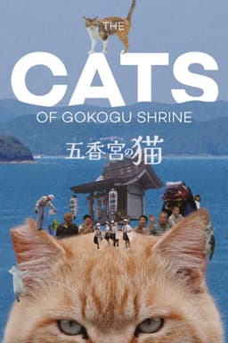 The Cats of Gokogu Shrine