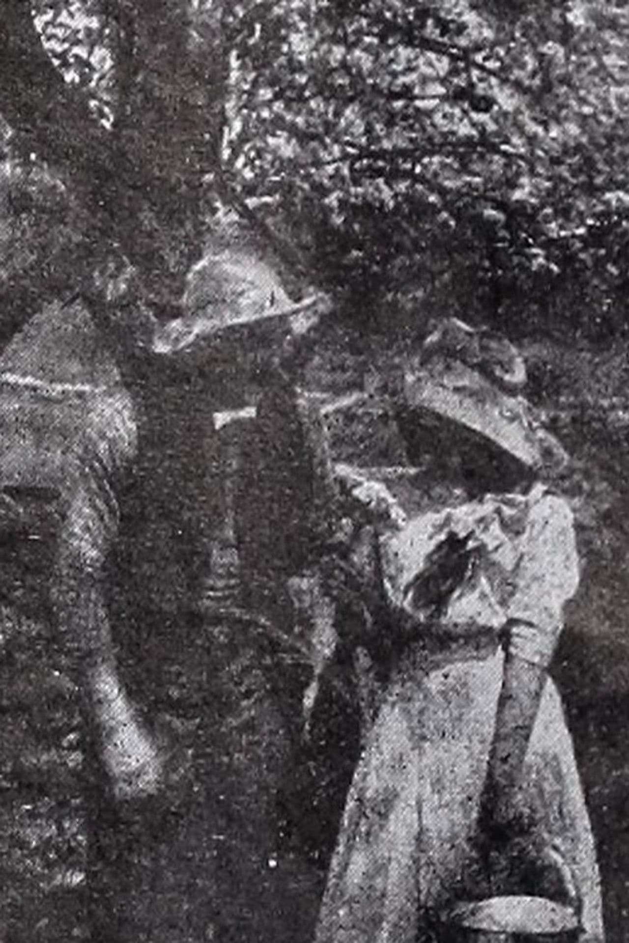 In the Season of Buds