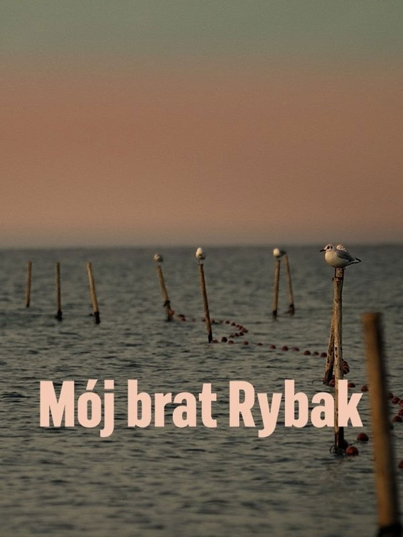 Brother the Fisherman