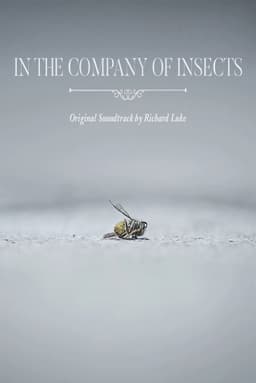 In the Company of Insects