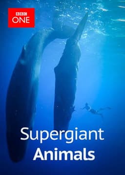 Supergiant Animals