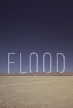 Flood