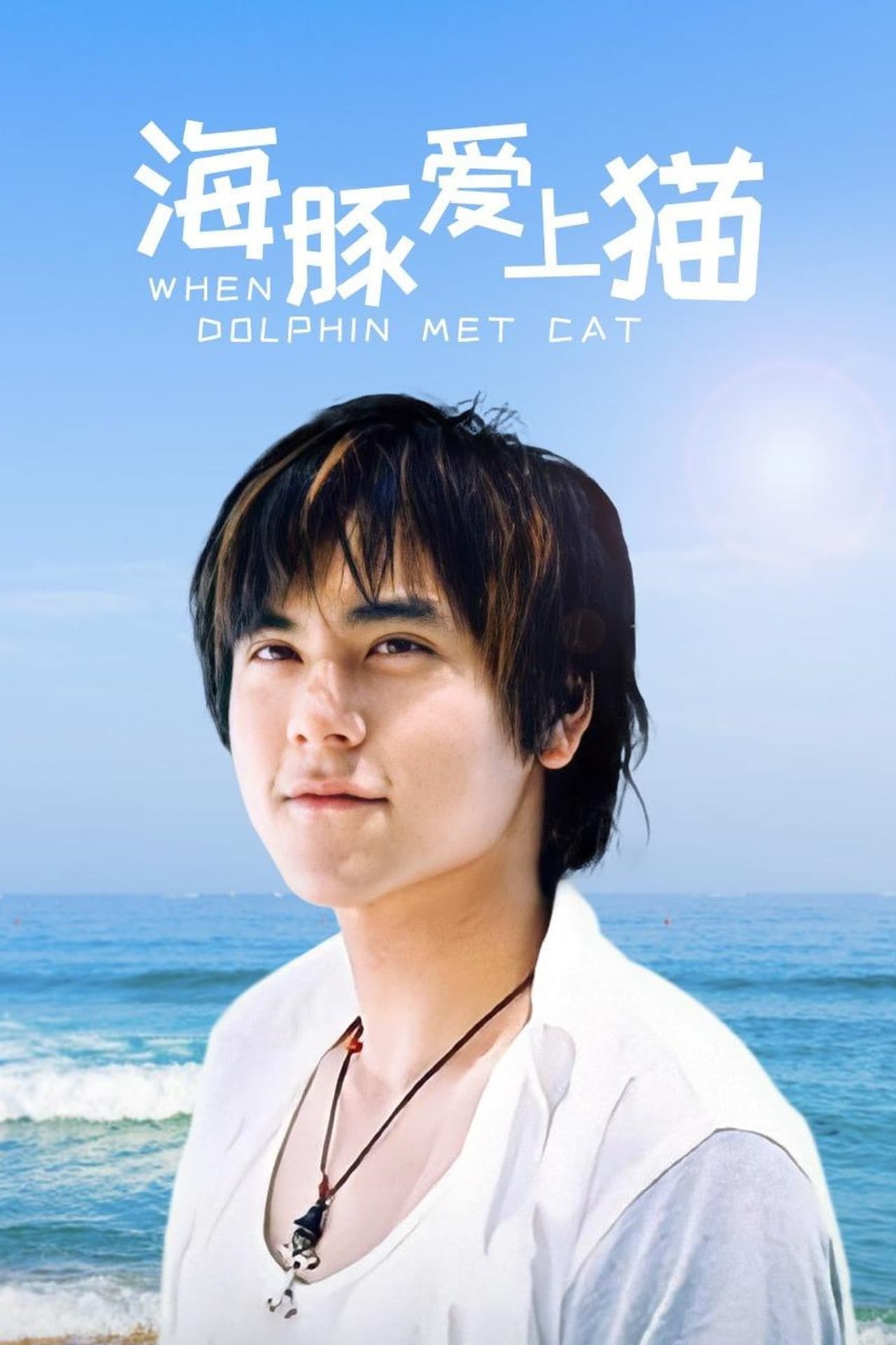 When Dolphin Met Cat