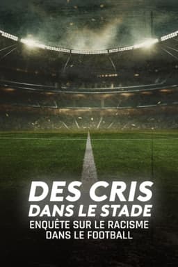 Des cris dans le stade, enquête sur le racisme dans le football
