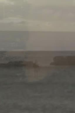 Contemplate the Plate Tectonic