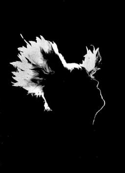 M - Les saisons de passage