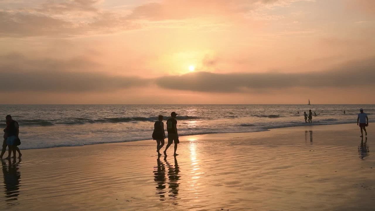 Memories for Life - Reversing Alzheimer's