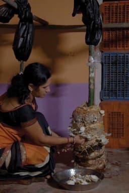 Mushroom: The Magical Fungi