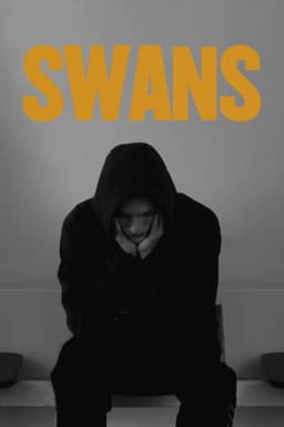 Swans
