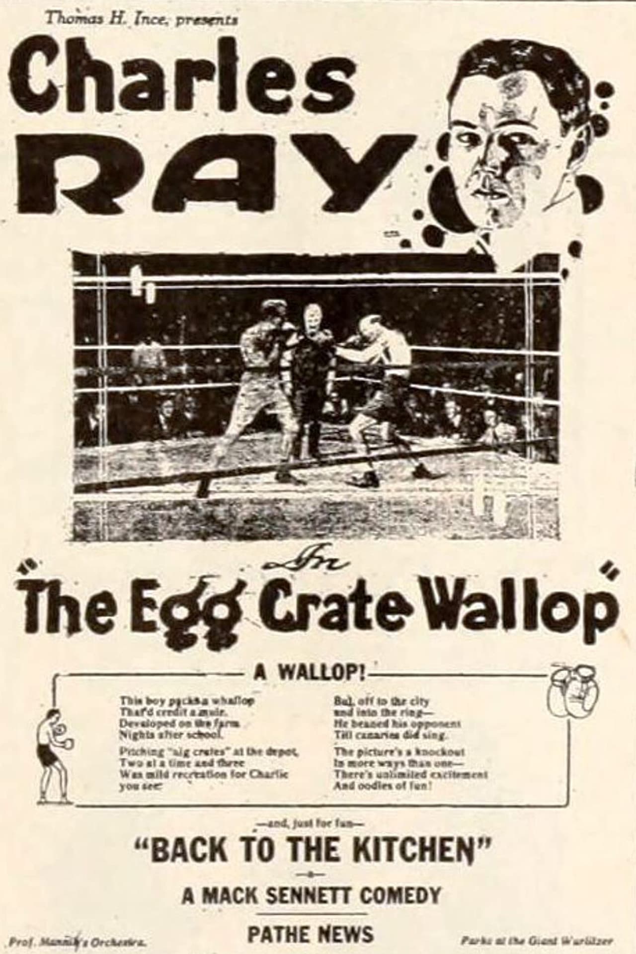 The Egg Crate Wallop
