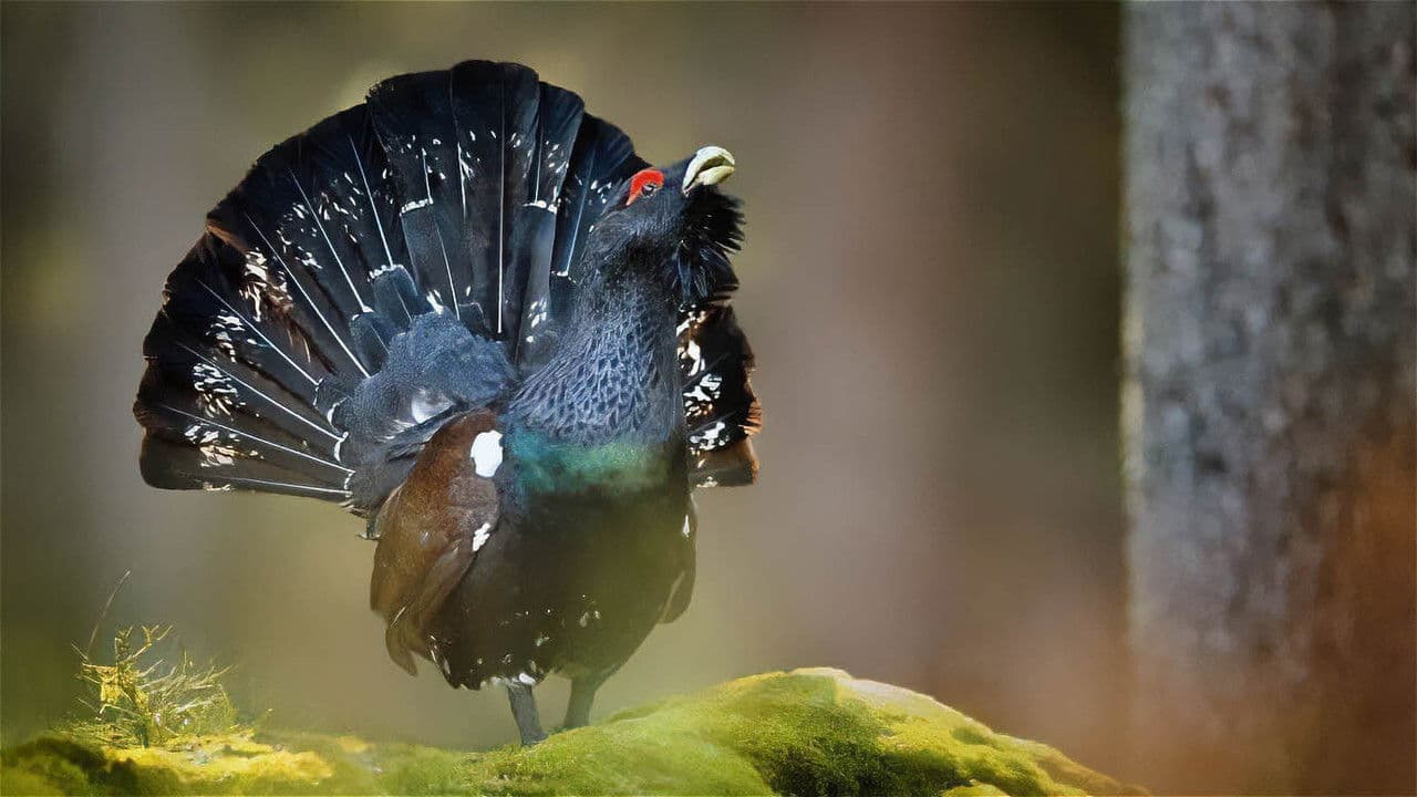 An den Ufern der Loisach