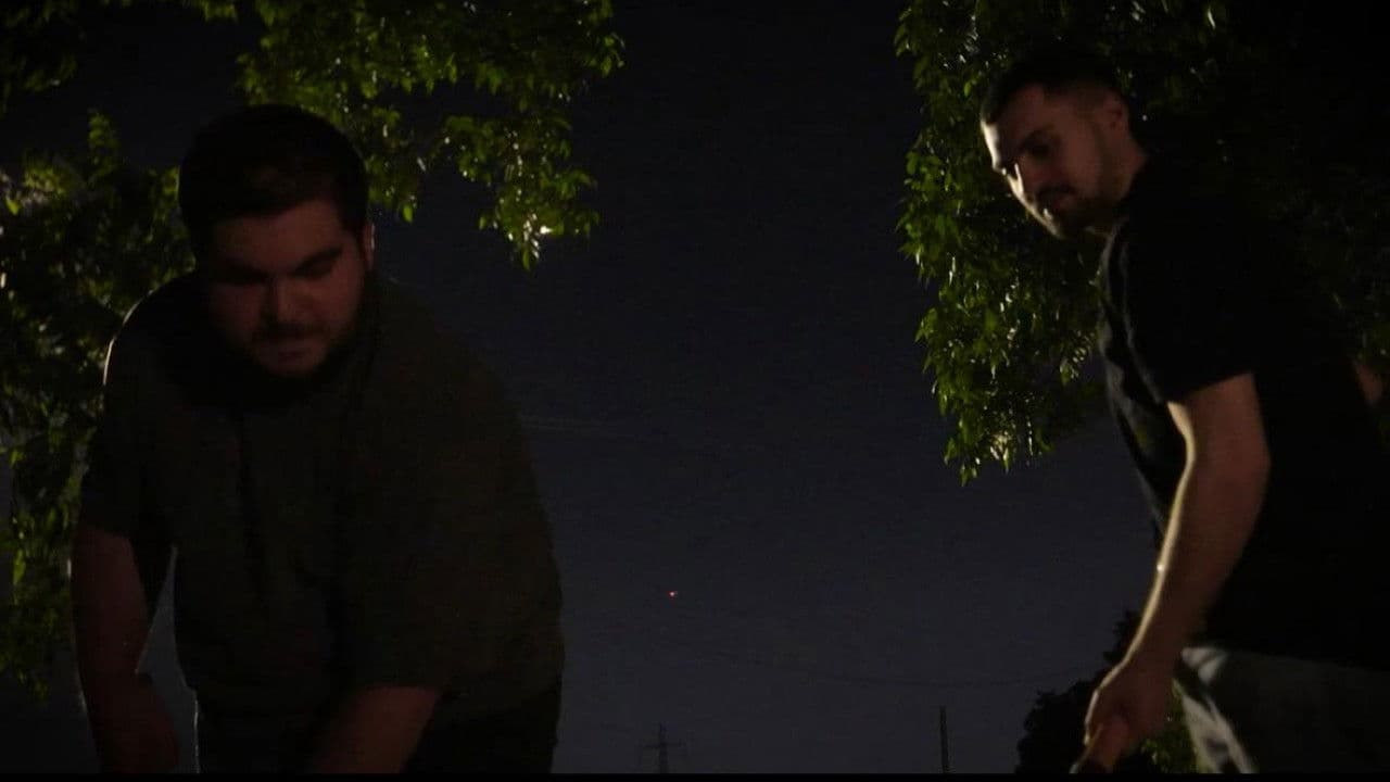 בלתמים בהפקה