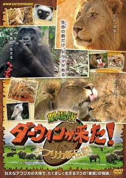 Darwin is here! new african legend