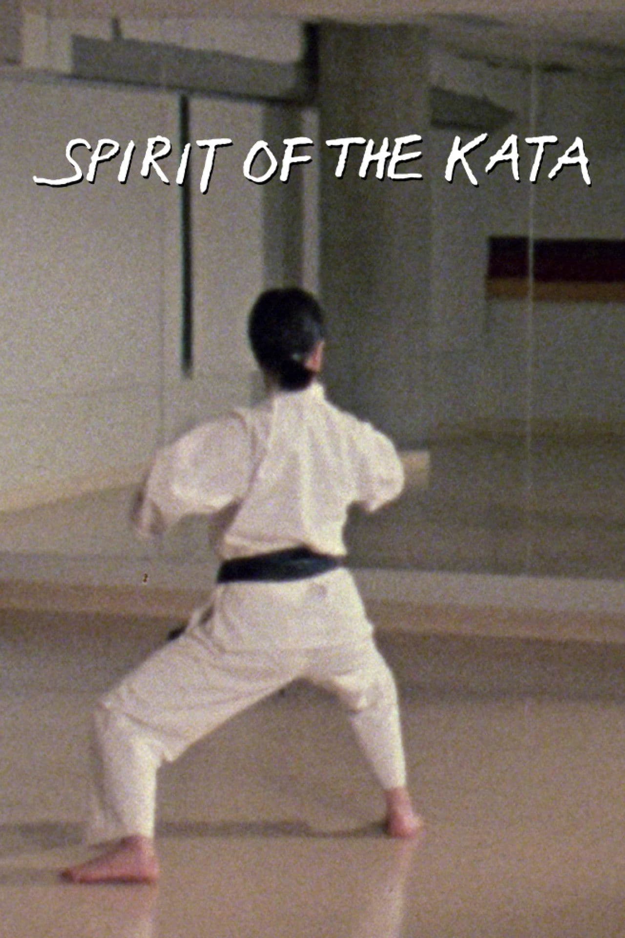 Spirit of the Kata
