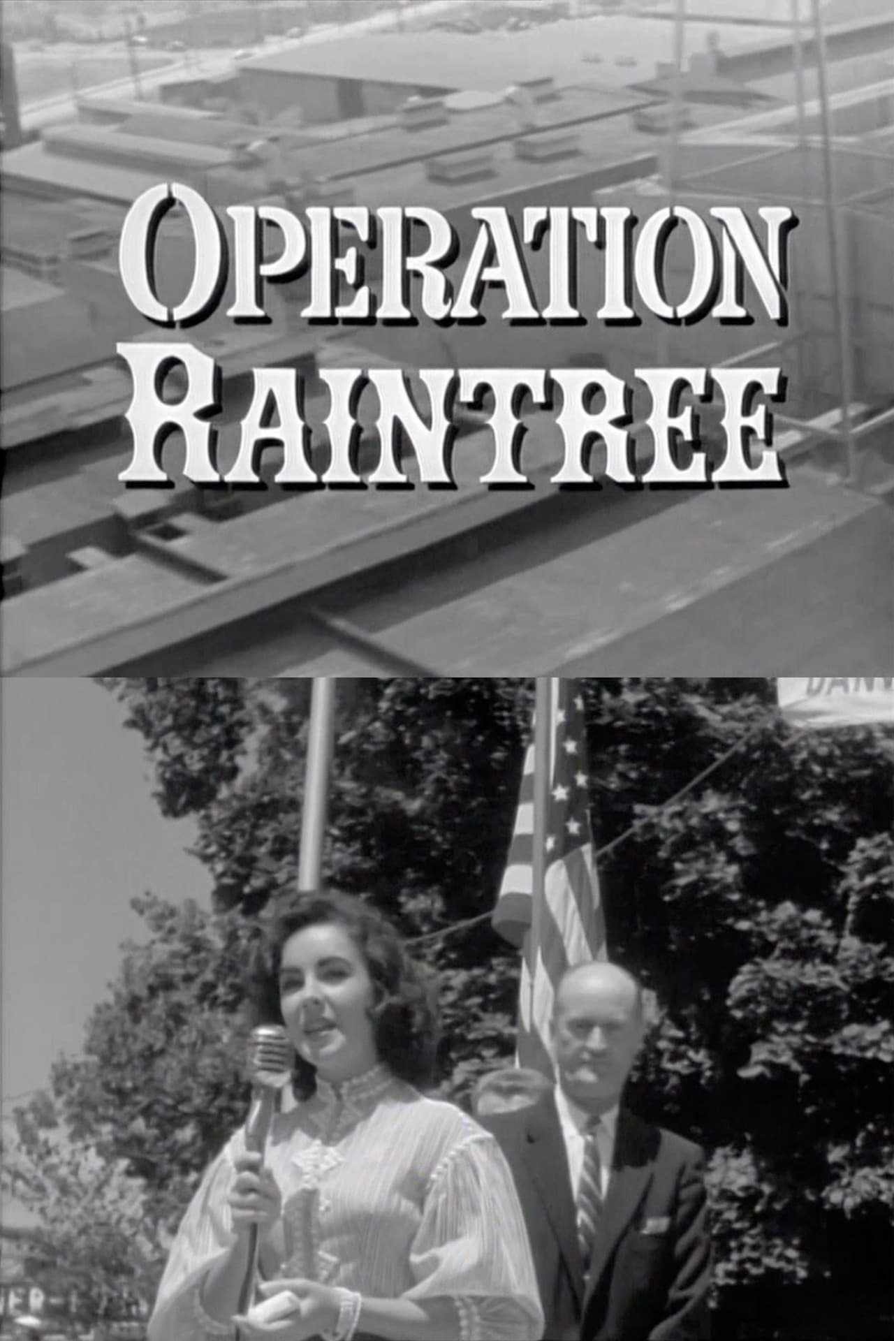 Operation Raintree