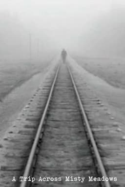 A Trip Across Misty Meadows