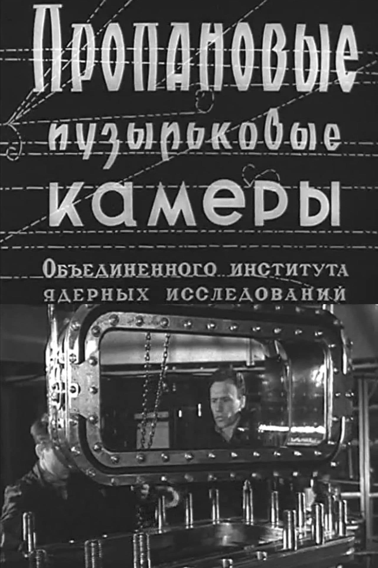 Propane Bubble Chambers at the Joint Institute for Nuclear Research