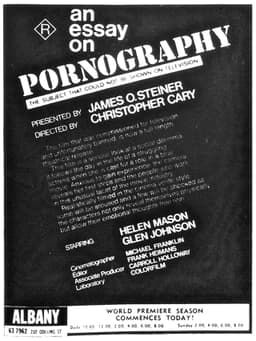 An Essay on Pornography