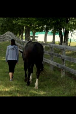 12 Litres 8800 Steps