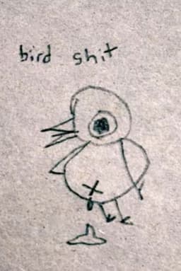 Bird Shit