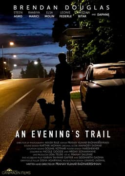 An Evening's Trail