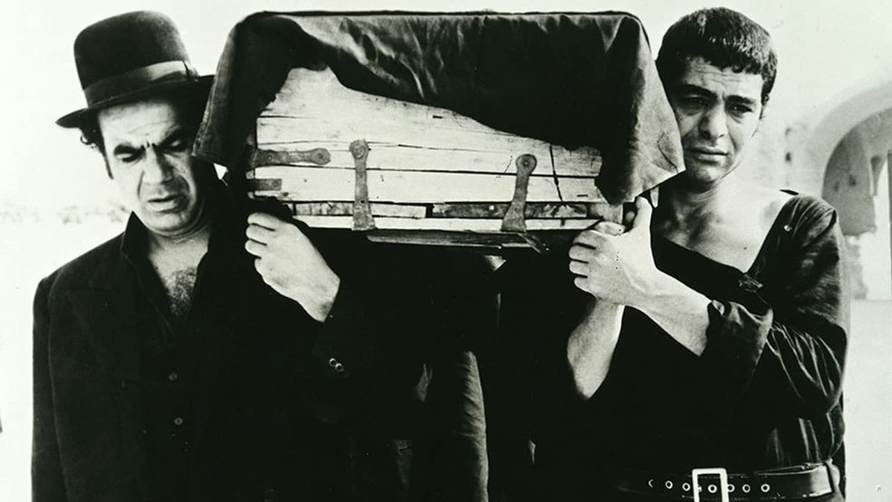 The ring-necked dove