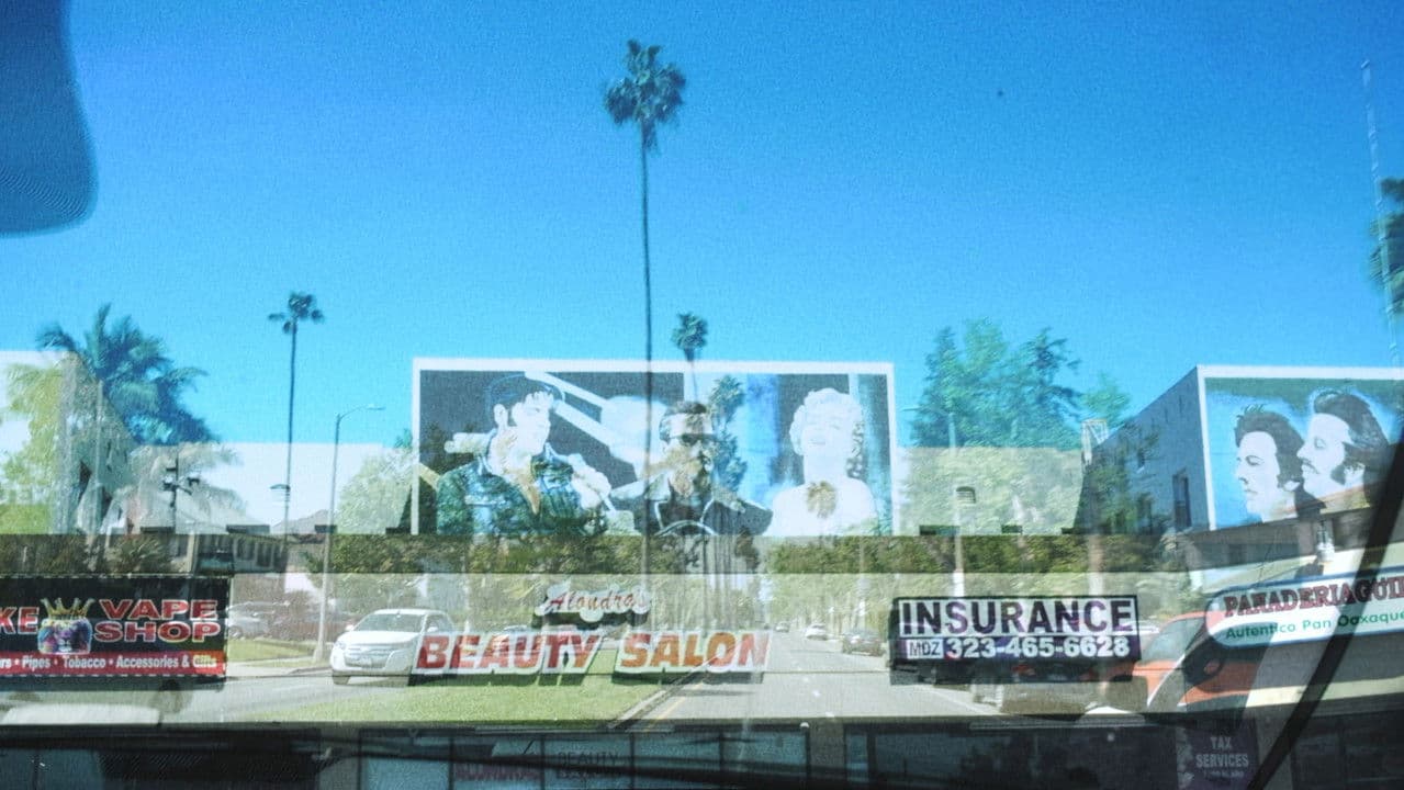 Same/Different/Both/Neither