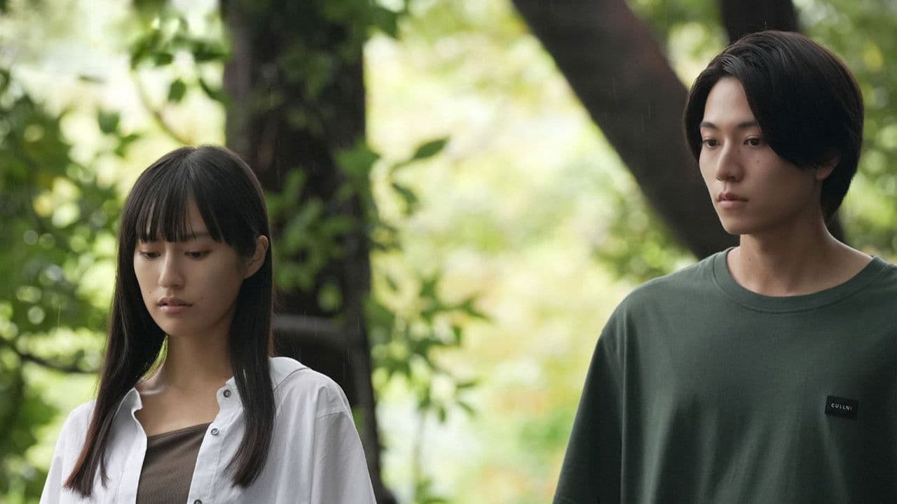 A Summer's Accomplice