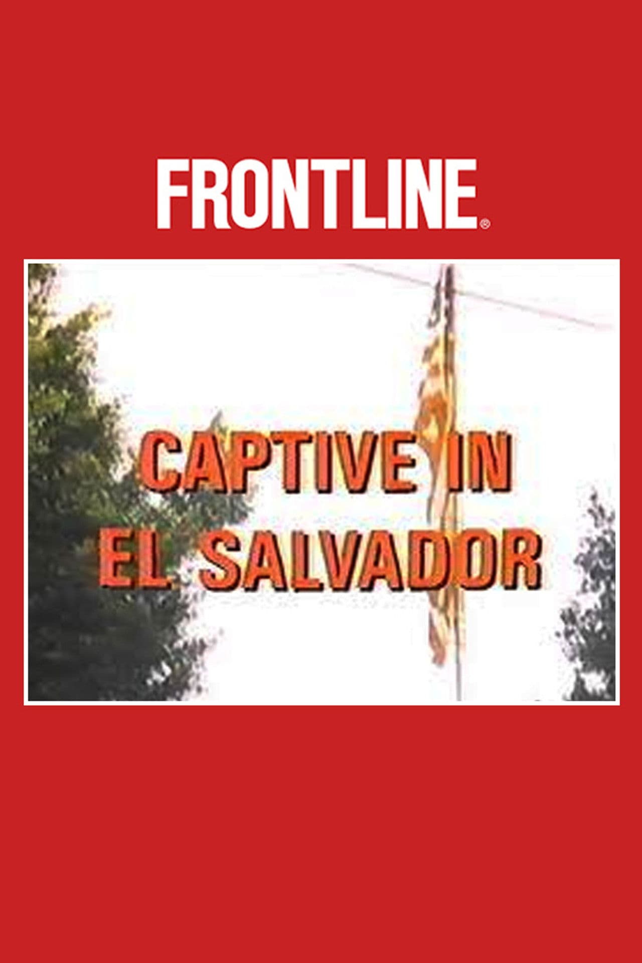 Captive in El Salvador