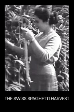 The Swiss Spaghetti Harvest