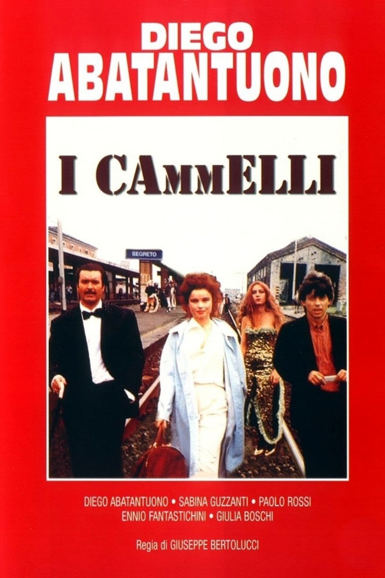 I cammelli