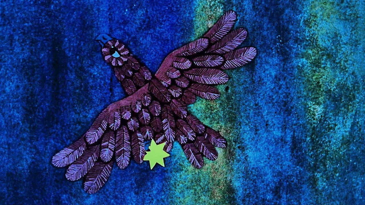 Jana and the Little Star