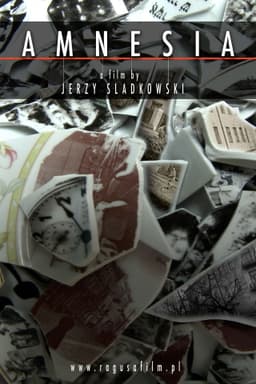 Amnesia