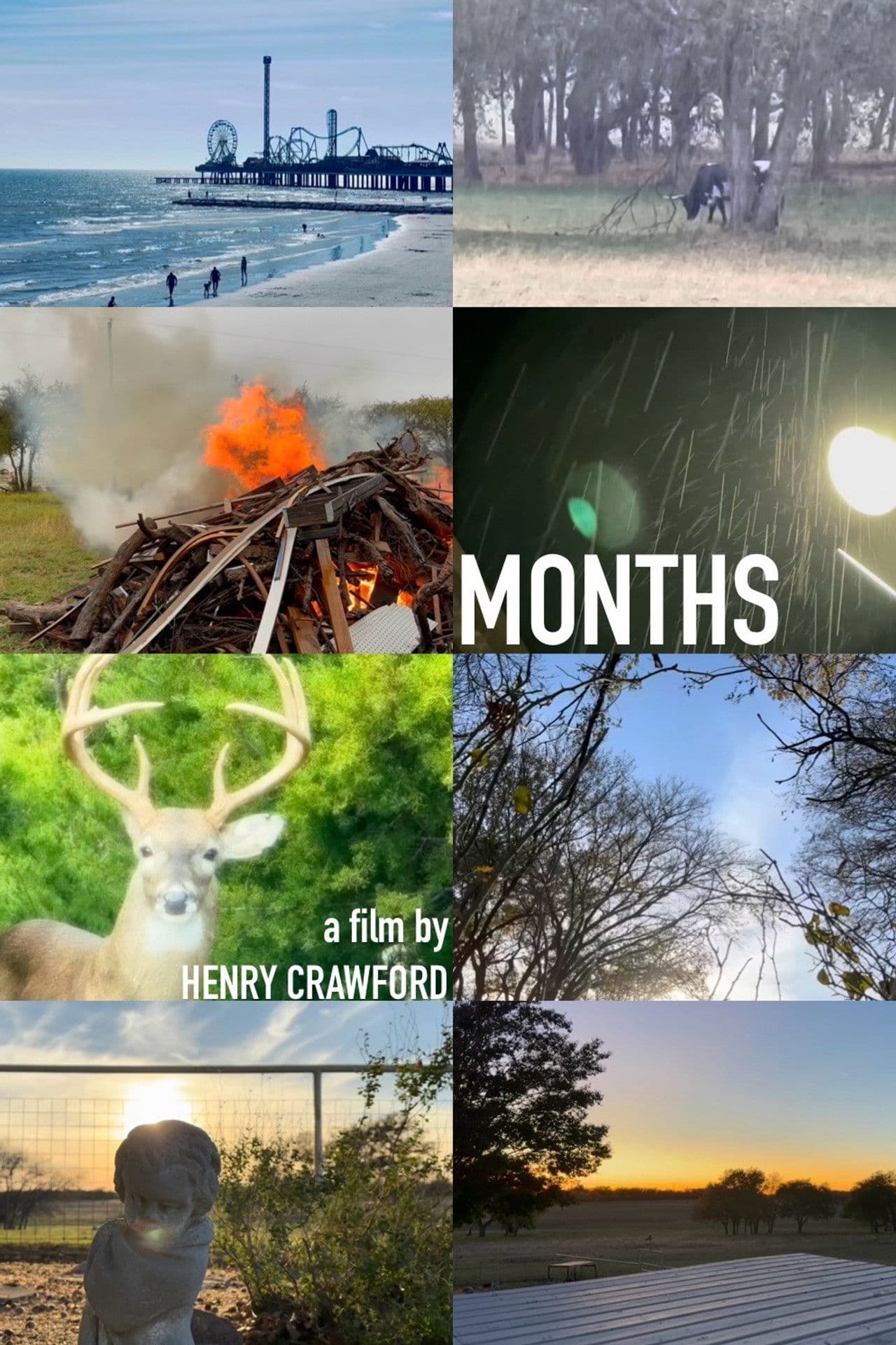 Months