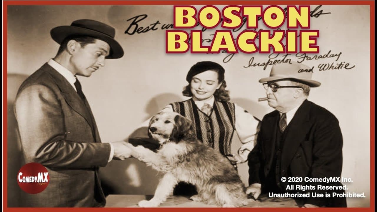 Boston Blackie