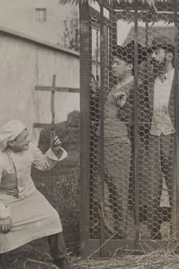 Les farces de Toto Gâte-Sauce