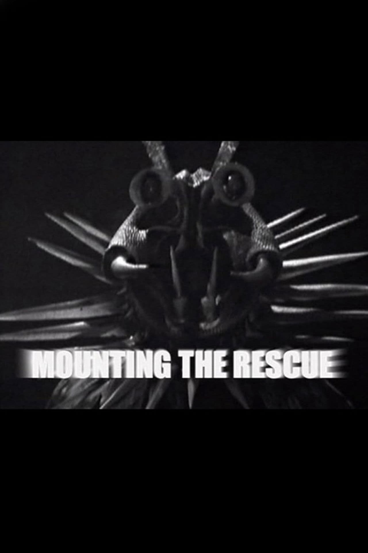 Mounting the Rescue