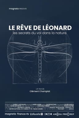 Le rêve de Léonard : Les secrets du vol dans la nature