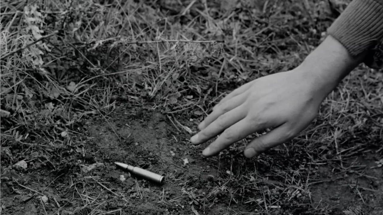 Four Days of a Partisan