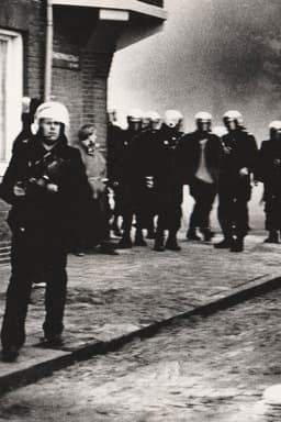 Where the Rats Are King