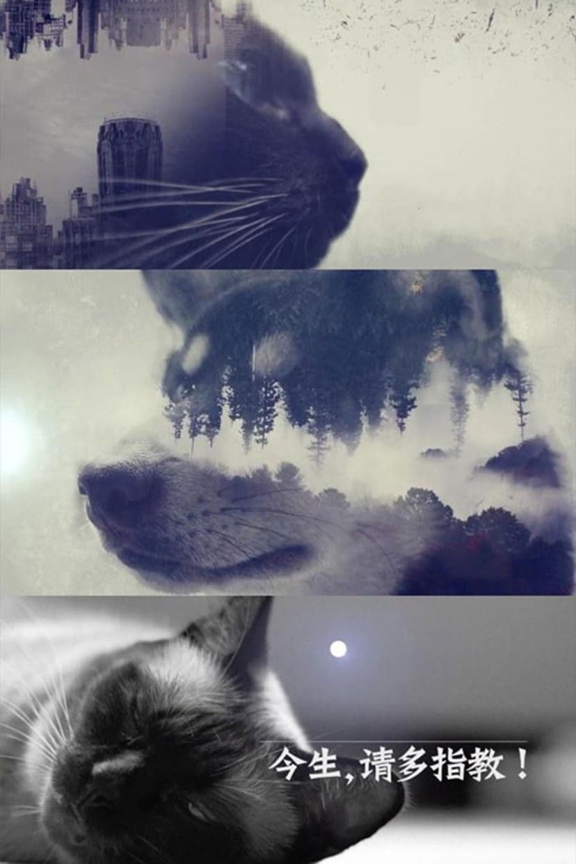 今生，请多指教