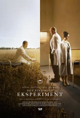 The Insane Experiment