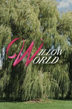 Willow World