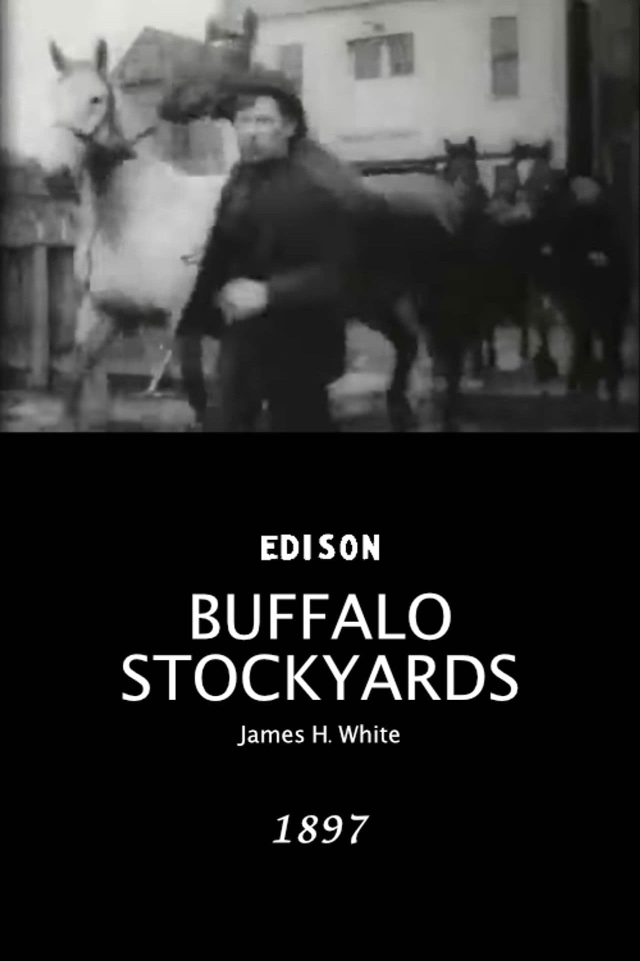 Buffalo Stockyards