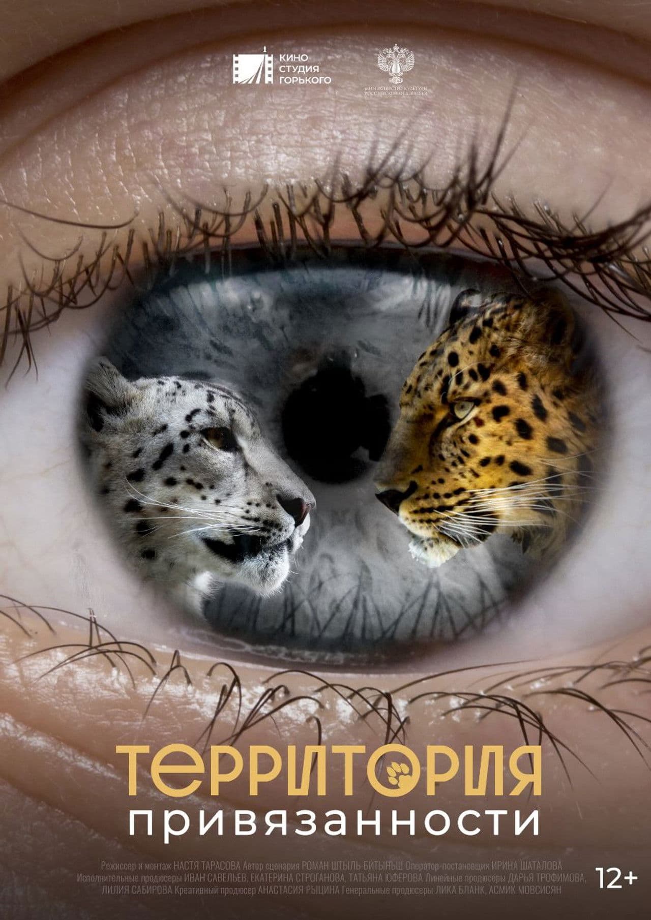 No Attachment Territory