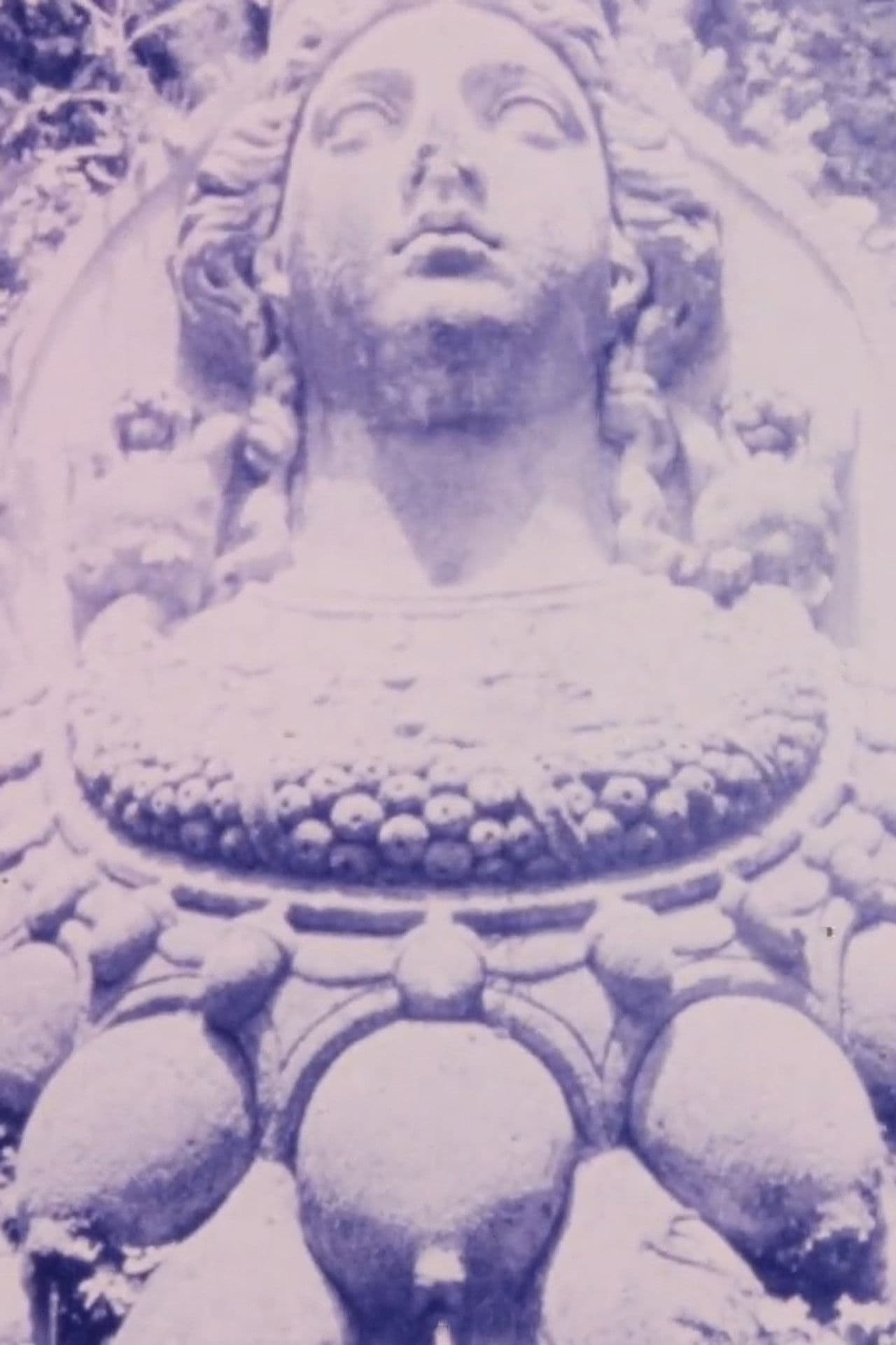 Shadows from the Western Wall