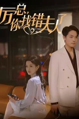 Mr. Li, You Have Found the Wrong Lady